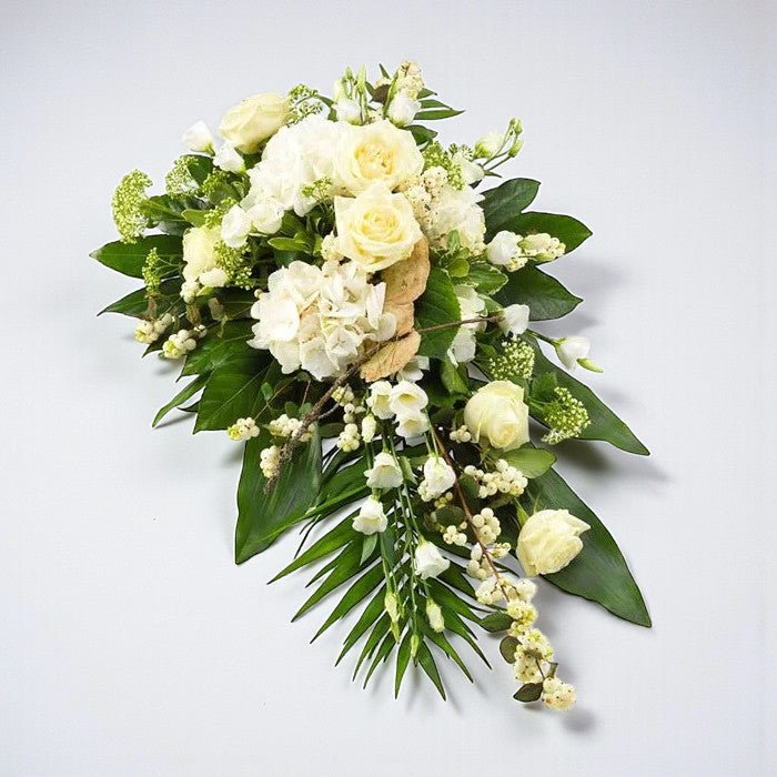 White and Green Spray - Plant Parent Definition review and price