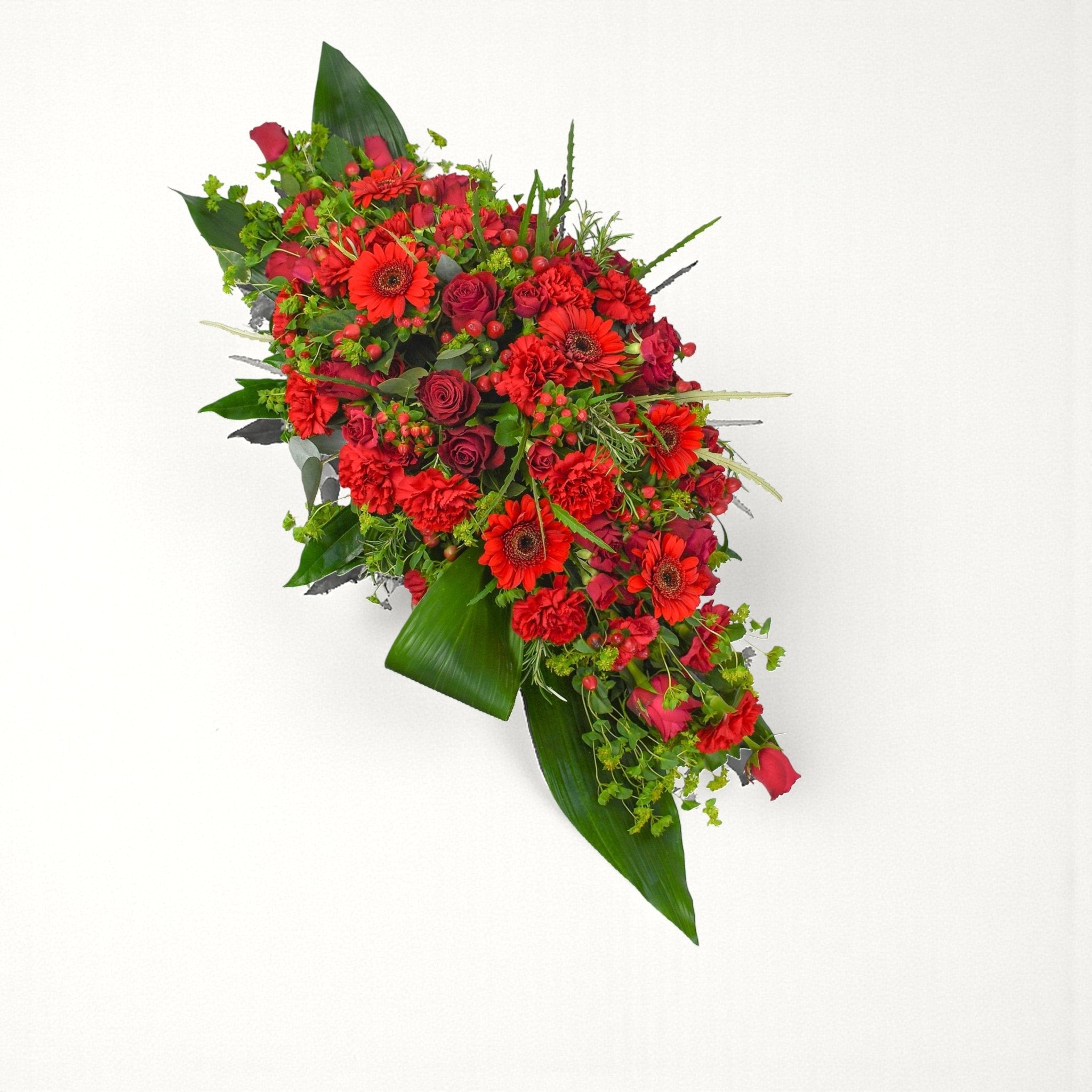 Red Double Ended Spray - Plant Parent Definition review and price