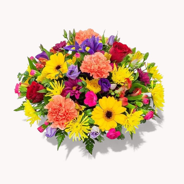 Bright & Vibrant Posy - Plant Parent Definition review and price