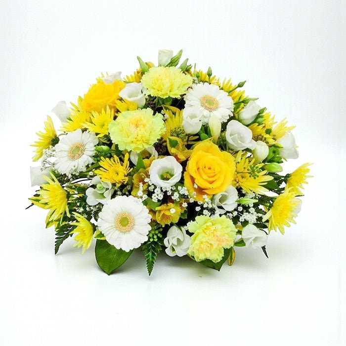 Yellow & White Posy - Plant Parent Definition review and price