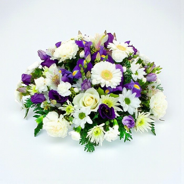 Blue & White Posy - Plant Parent Definition review and price