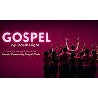 Gospel by Candlelight - Orchid Phalaenopsis review and price