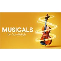 Musicals By Candlelight - Orchid Phalaenopsis review and price