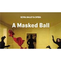 A Masked Ball - Royal Ballet a - Orchid Phalaenopsis review and price