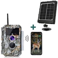 Bundle Wildkamera Wildtierkame - Plant Parent App Video review and price