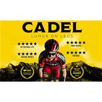 CADEL: Lungs on Legs - Orchid Phalaenopsis review and price