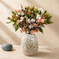 Amber Fields Letterbox - Orchid Phalaenopsis review and price