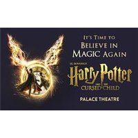 Harry Potter and the Cursed Ch - Orchid Phalaenopsis review and price
