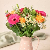 Florist's Choice Luxe - Orchid Phalaenopsis review and price