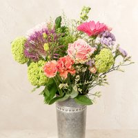 Florist's Choice Chic - Orchid Phalaenopsis review and price