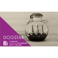 Dogstar - Orchid Phalaenopsis review and price