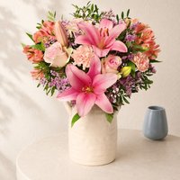 Strawberry Sunset - Orchid Phalaenopsis review and price