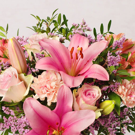Strawberry Sunset - Orchid Phalaenopsis review and price
