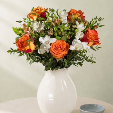 Autumn Rose and Freesias - Orchid Phalaenopsis review and price