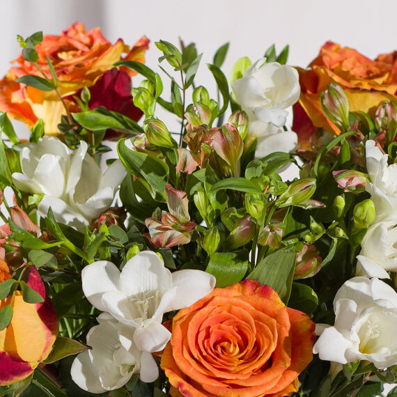 Autumn Rose and Freesias - Orchid Phalaenopsis review and price