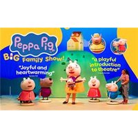 Peppa Pig's Big Family Show - Orchid Phalaenopsis review and price