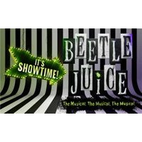 Beetlejuice: The Musical - Orchid Phalaenopsis review and price