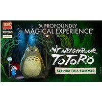 My Neighbour Totoro - Orchid Phalaenopsis review and price