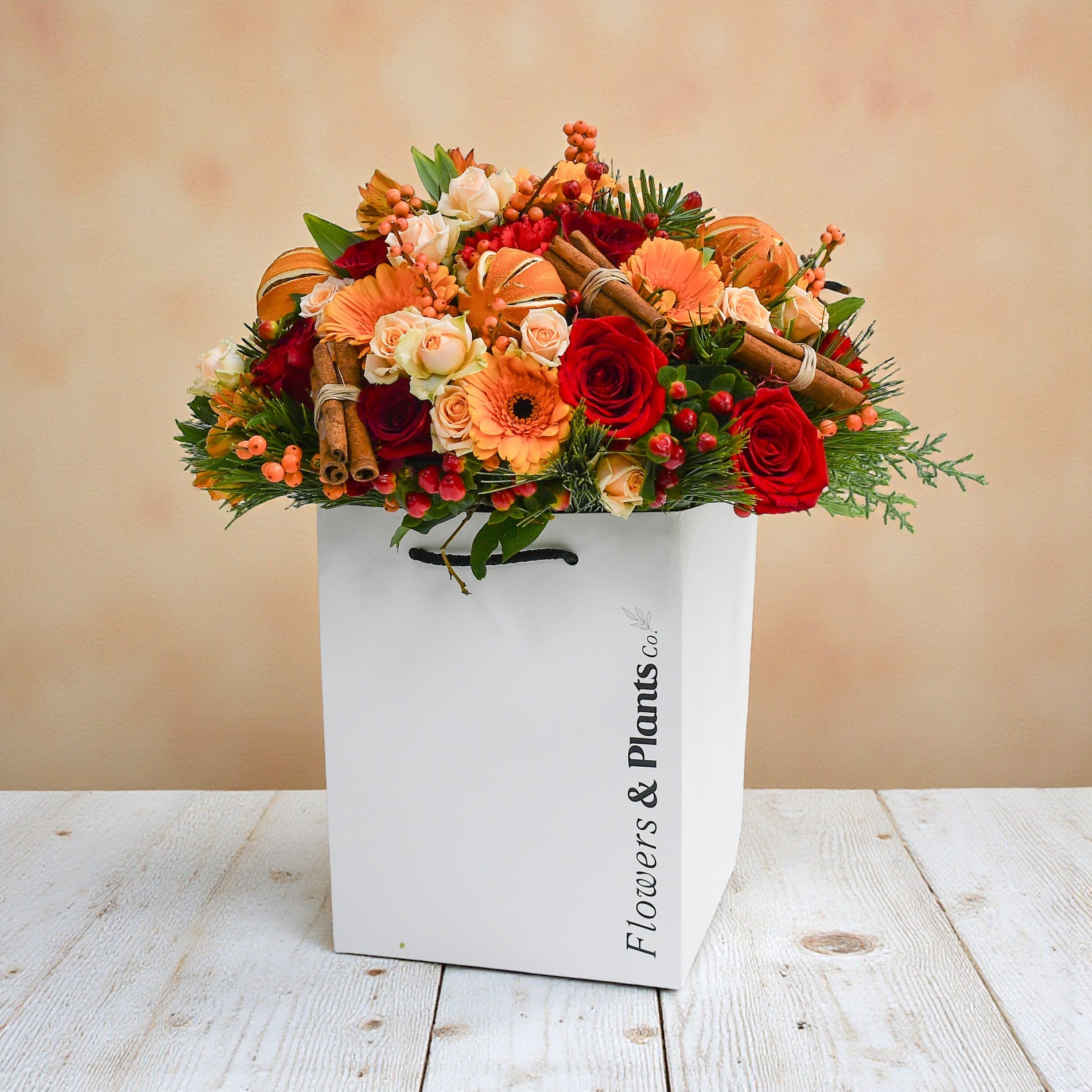 Christmas Cracker - Plant Parent Definition review and price