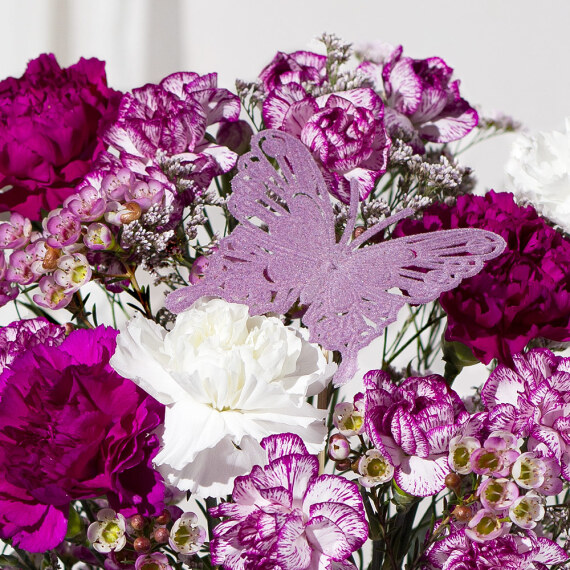 Especially For You Letterbox G - Orchid Phalaenopsis review and price