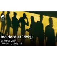 Incident at Vichy - Orchid Phalaenopsis review and price
