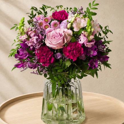 Elderberry Elegance - Orchid Phalaenopsis review and price