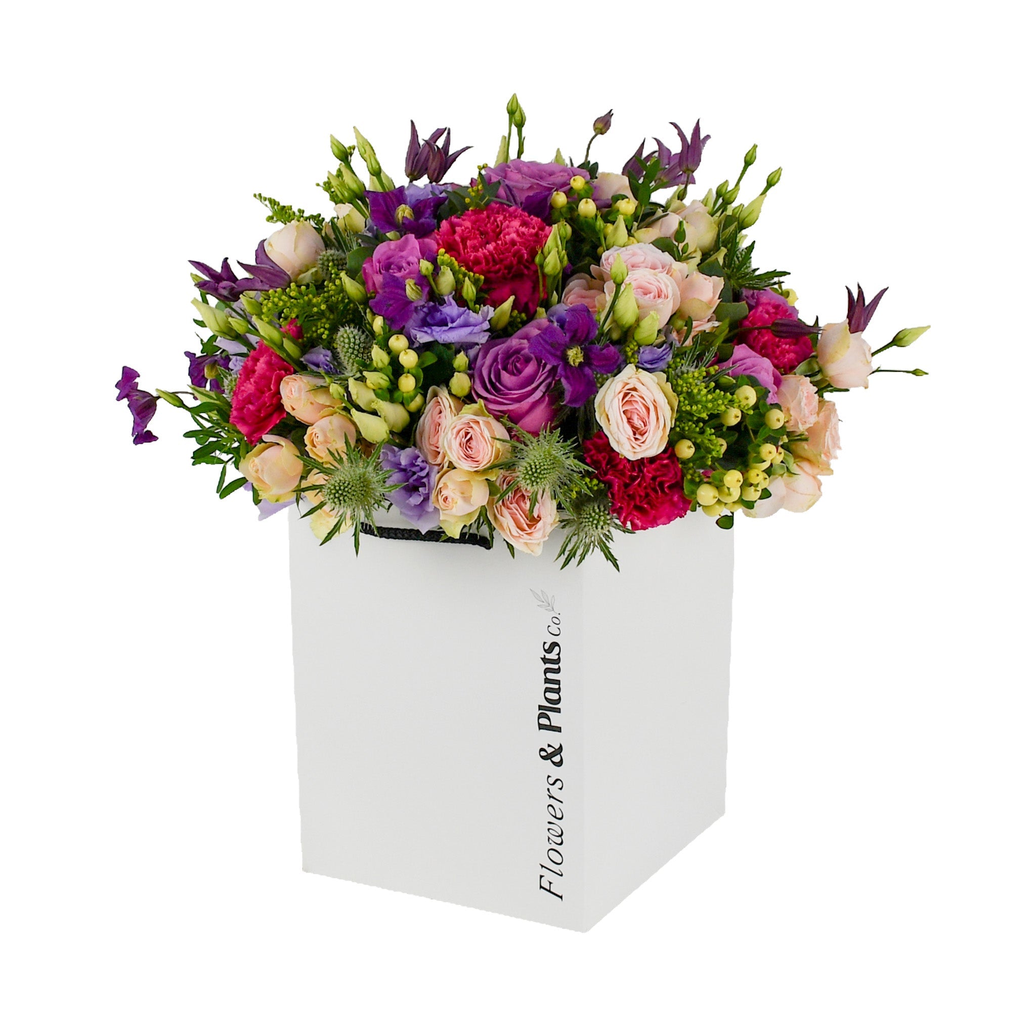The Highlands - Plant Parent Definition review and price
