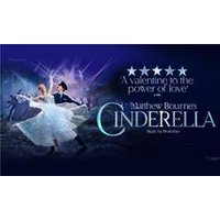 Matthew Bourne's Cinderella - Orchid Phalaenopsis review and price