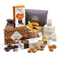 Tea and Sweet Treats - Orchid Phalaenopsis review and price