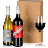 Italian Wine Duo - Orchid Phalaenopsis review and price