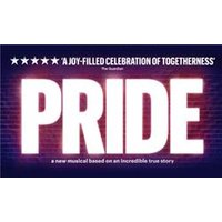 Pride - Bridge Theatre - Orchid Phalaenopsis review and price