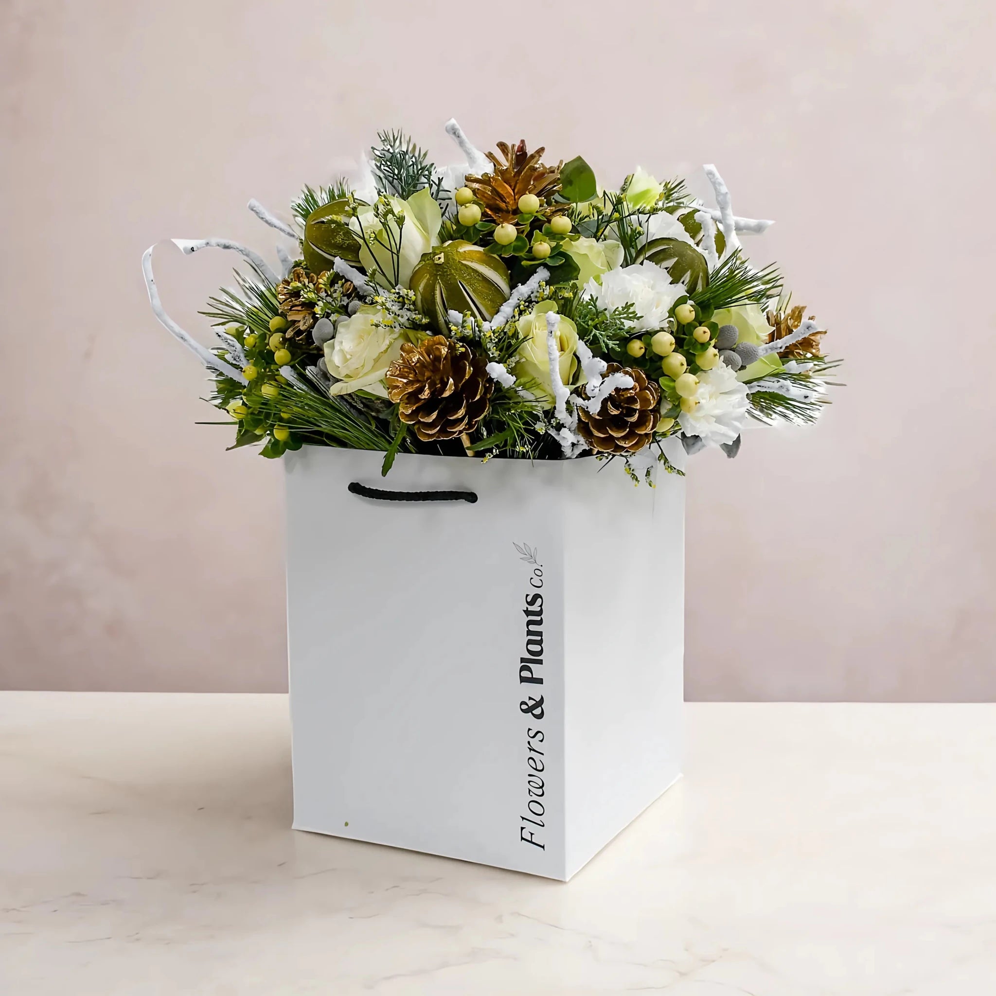 White Christmas - Plant Parent Definition review and price