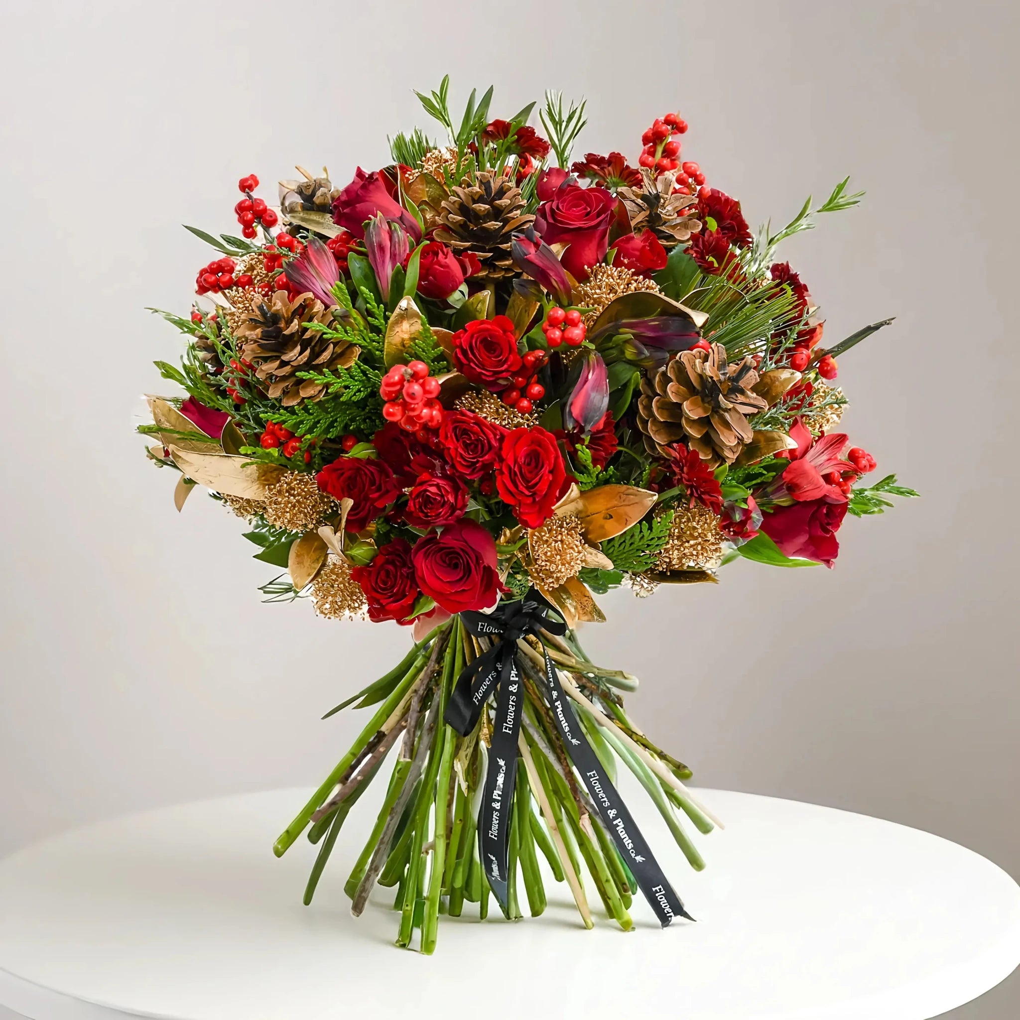 Festive Days - Plant Parent Definition review and price