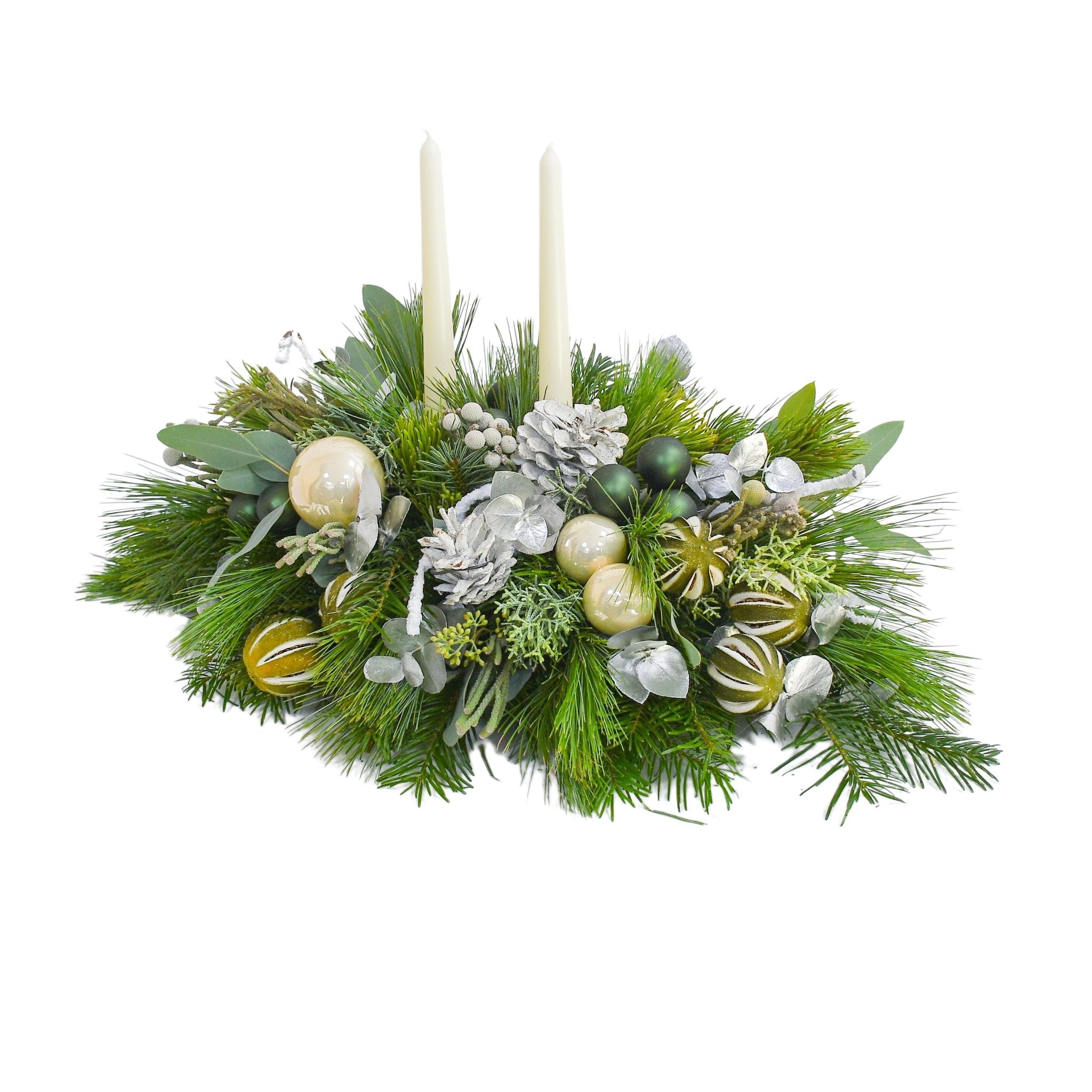 Silver & Green - Plant Parent Definition review and price