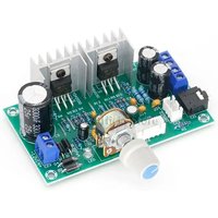 Mini TDA2030 Dual Channel Powe - Plant Parent App Video review and price