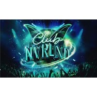 Club NVRLND - Orchid Phalaenopsis review and price