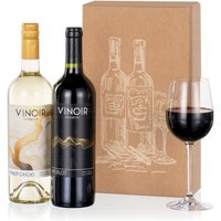 Wine Duet - Orchid Phalaenopsis review and price