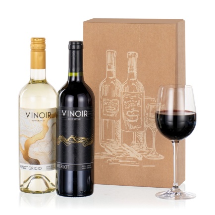 Wine Duet - Orchid Phalaenopsis review and price
