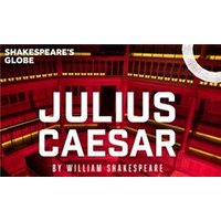 Julius Caesar - Globe - Orchid Phalaenopsis review and price