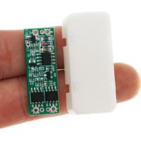 DC To AC Module Inverter Circu - Plant Parent App Video review and price