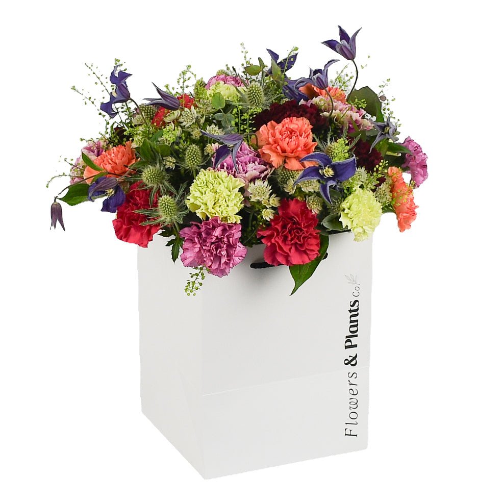 Sweet Petals - Plant Parent Definition review and price