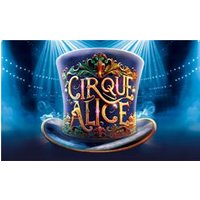 Cirque Alice - Orchid Phalaenopsis review and price