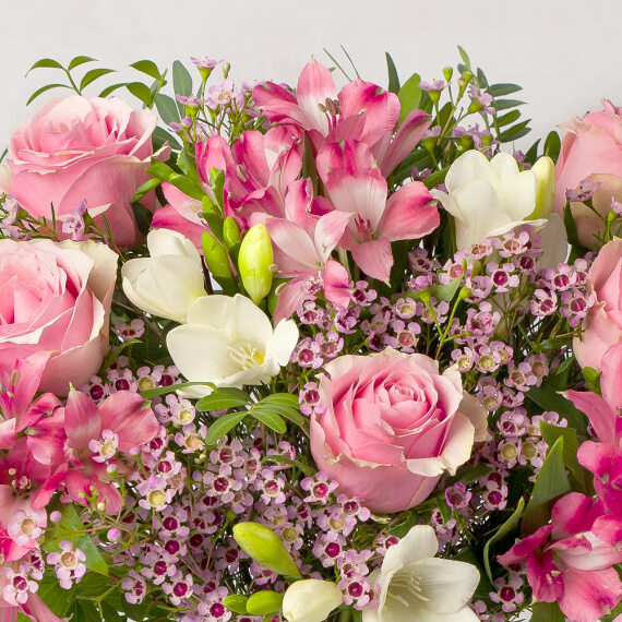 Pink Roses and Freesias - Orchid Phalaenopsis review and price