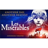 Les Miserables - Orchid Phalaenopsis review and price