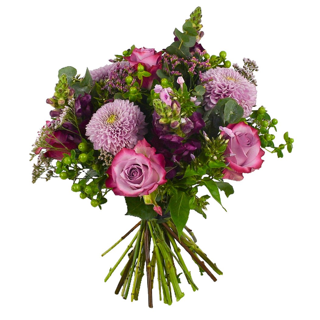 Pretty In Pink - Plant Parent Definition review and price
