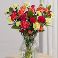 Autumn Warmth Letterbox - Orchid Phalaenopsis review and price