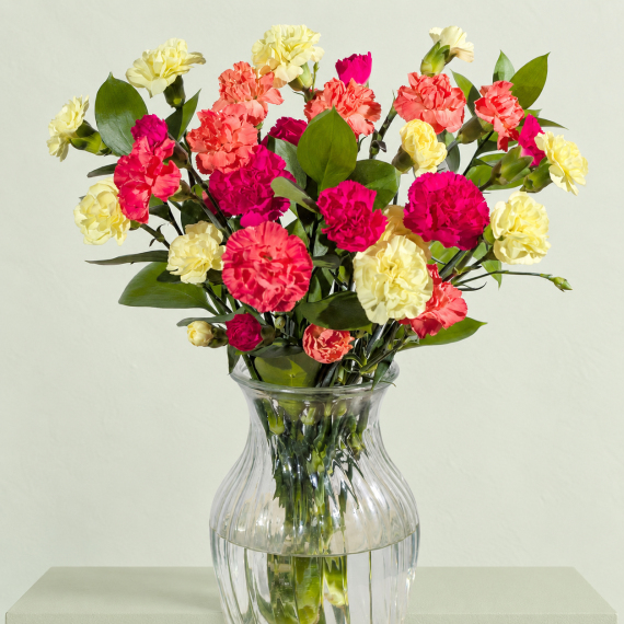 Autumn Warmth Letterbox - Orchid Phalaenopsis review and price