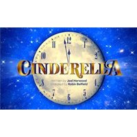 Cinderella - Orchid Phalaenopsis review and price