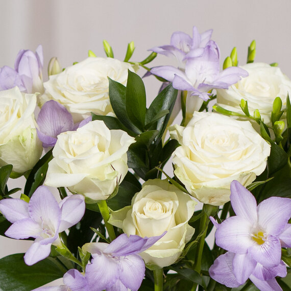 Freesias and Roses - Orchid Phalaenopsis review and price