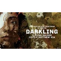 Darkling - Orchid Phalaenopsis review and price